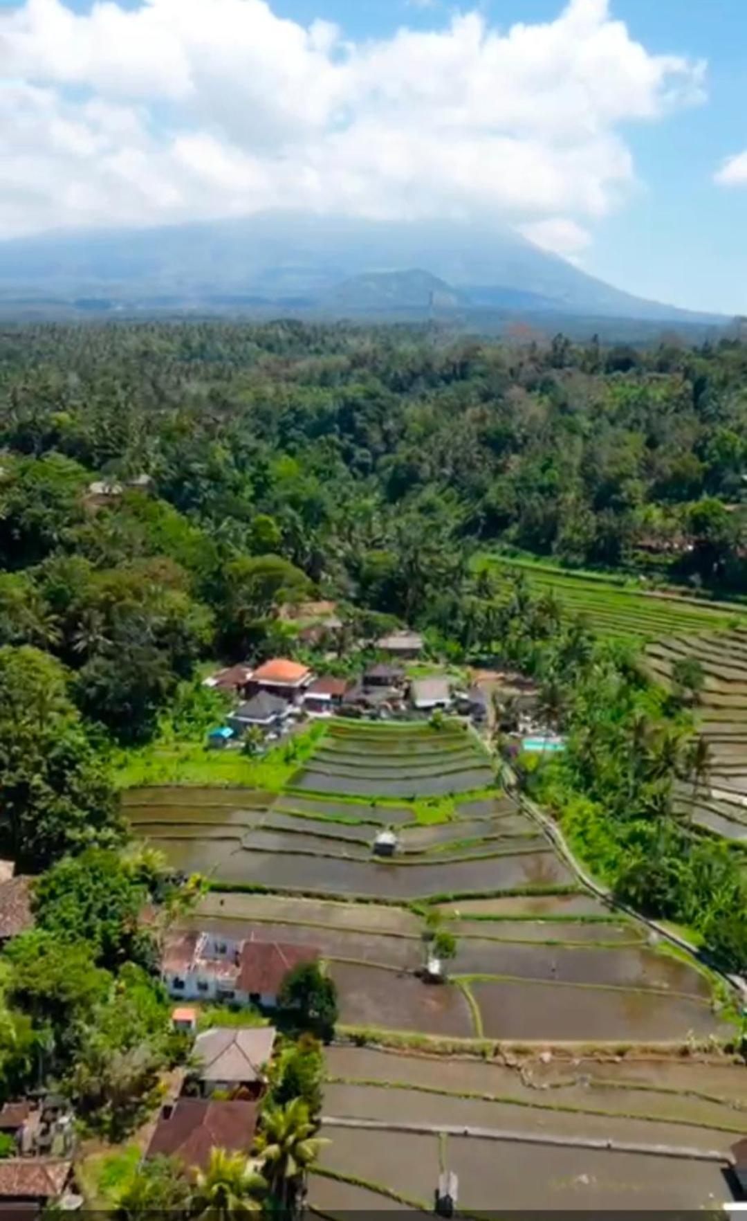Dau Homestay Karangasem Dış mekan fotoğraf