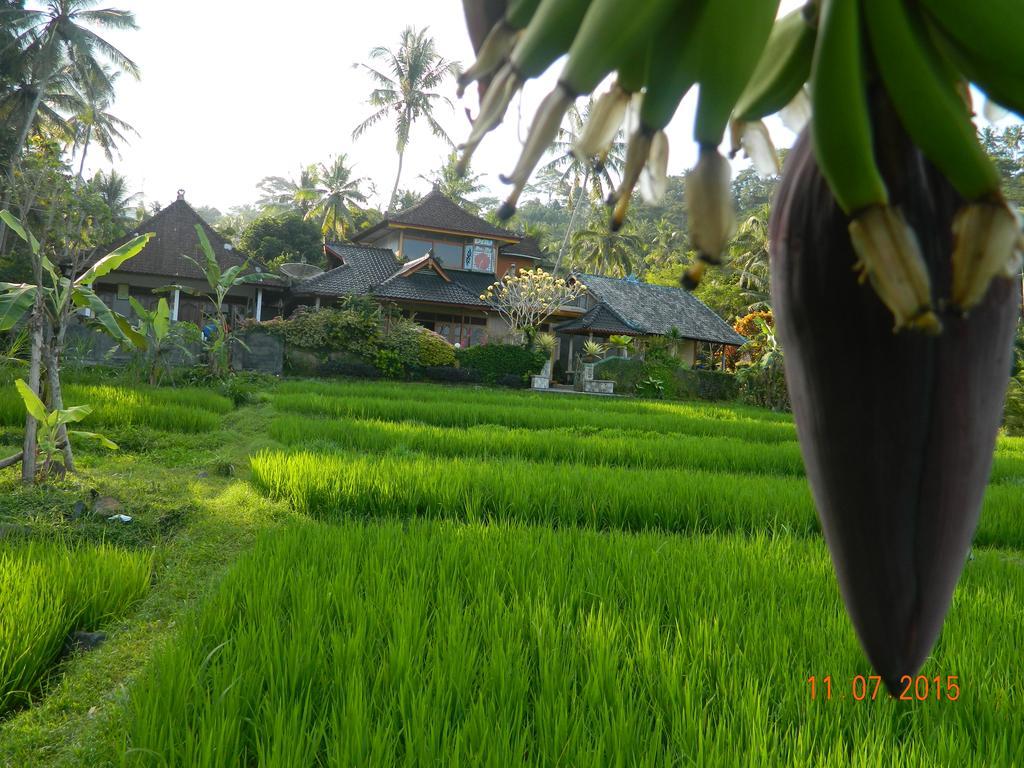 Dau Homestay Karangasem Dış mekan fotoğraf